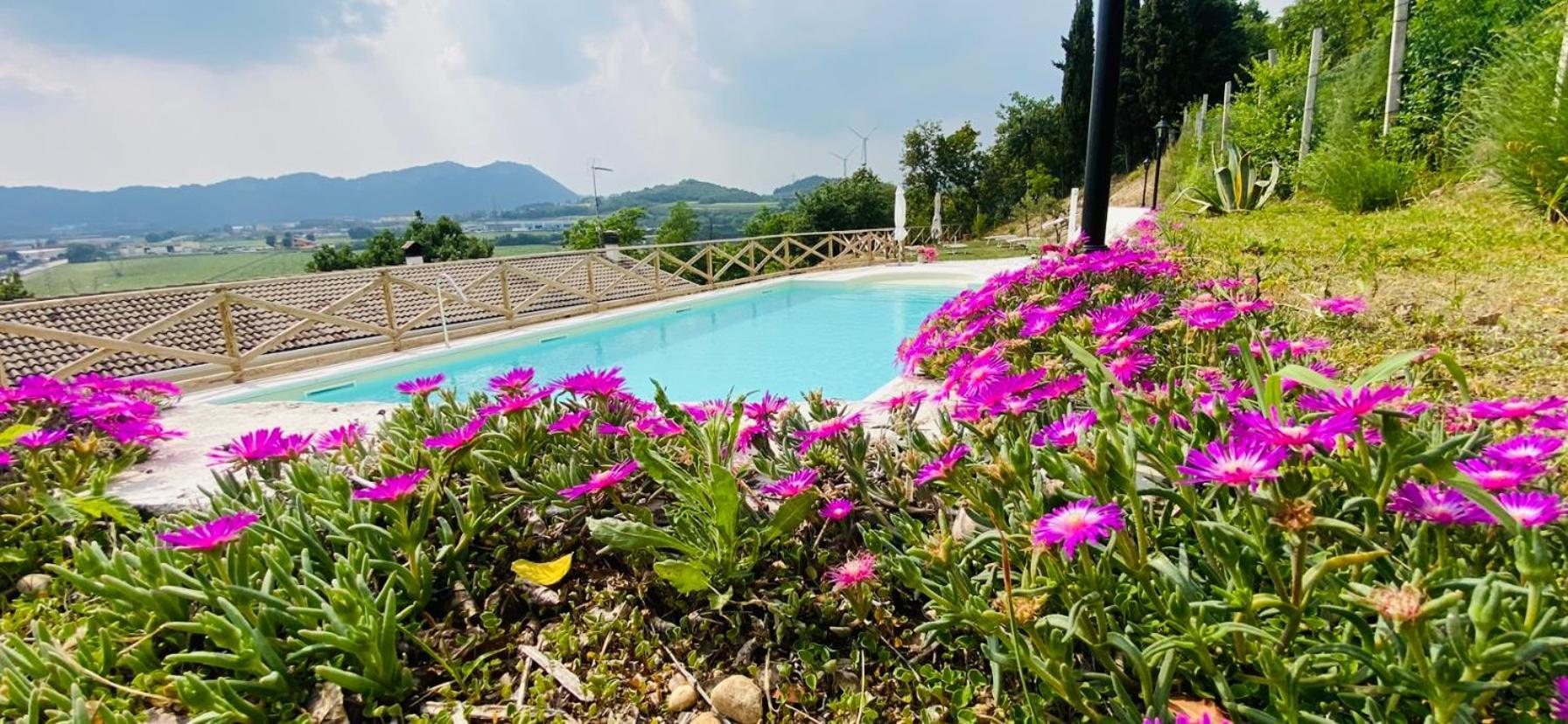 Villa Poggio Ulivo Pool-Apartments Rivoli Veronese Extérieur photo